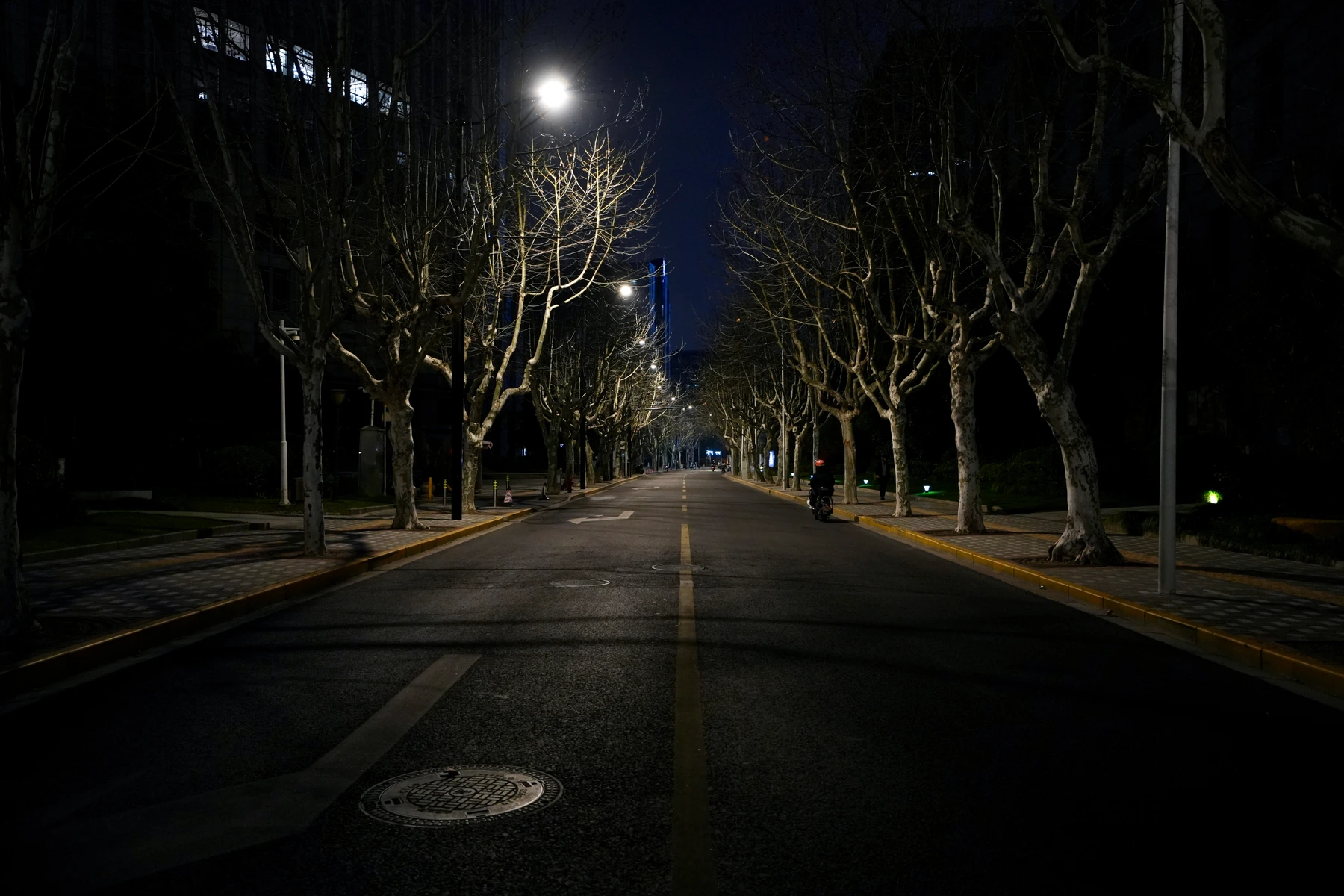 A quiet frame from the ChaosLand photography archive.