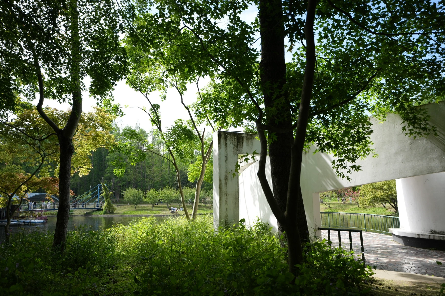 A quiet frame from the ChaosLand photography archive.